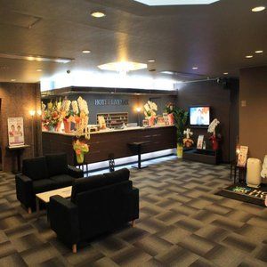 Hotel Livemax Budget Iyo Mishima 2*